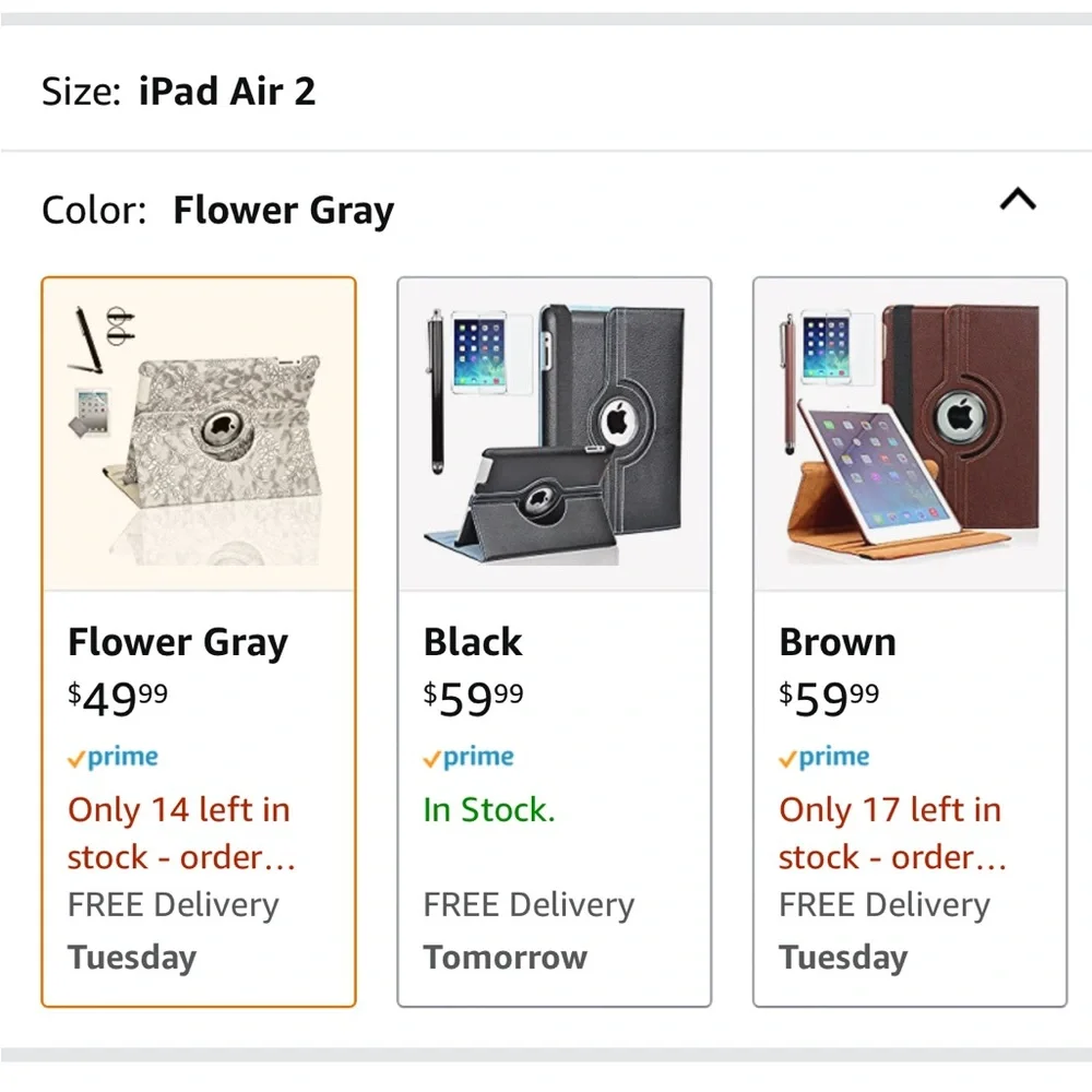 iPad Air Case